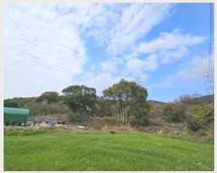  2024Ÿ��7235 �泲 ���ؽ� ���̸� �絿�� 775      ����(��)���