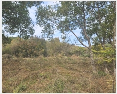  2024Ÿ��7235 �泲 ���ؽ� ���̸� �絿�� 775      ����(��)���