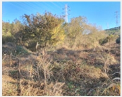  2024Ÿ��7235 �泲 ���ؽ� ���̸� �絿�� 775      ����(��)���