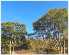  2024Ÿ��7235 �泲 ���ؽ� ���̸� �絿�� 775      ����(��)���