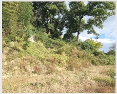  2024Ÿ��7327 �泲 ���ؽ� �뵿�� ������ 327      ����(����)���