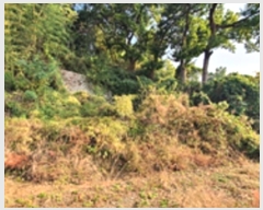  2024Ÿ��7327 �泲 ���ؽ� �뵿�� ������ 327      ����(����)���