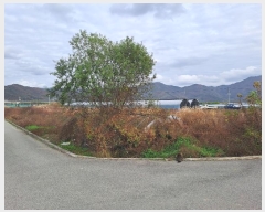  2024Ÿ��7488 �泲 ���ؽ� ������ ���縮 1471-3      ����(��)���