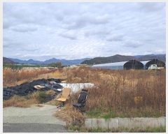  2024Ÿ��7488 �泲 ���ؽ� ������ ���縮 1471-3      ����(��)���