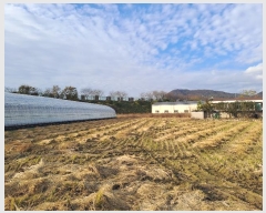  2024Ÿ��7488 �泲 ���ؽ� ������ ���縮 1471-3      ����(��)���