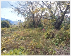  2024Ÿ��7570  ����