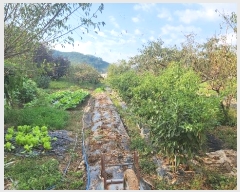  2024Ÿ113413 泲 ؽ  ſ븮 343-1      ()