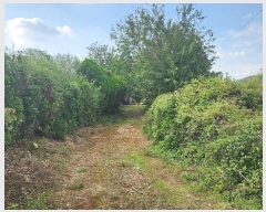  2024Ÿ113413 泲 ؽ  ſ븮 343-1      ()