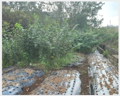  2024Ÿ113413 泲 ؽ  ſ븮 343-1      ()