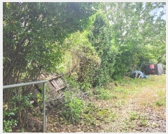  2024Ÿ113413 泲 ؽ  ſ븮 343-1      ()