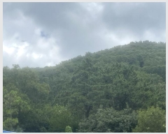  2024Ÿ4618 泲 ؽ 뵿 ȸ 121-1      (Ӿ)