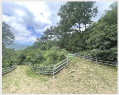  2024Ÿ4618 泲 ؽ 뵿 ȸ 121-1      (Ӿ)