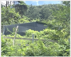  2024Ÿ4618 泲 ؽ 뵿 ȸ 121-1      (Ӿ)