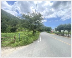  2024Ÿ4618 泲 ؽ 뵿 ȸ 121-1      (Ӿ)