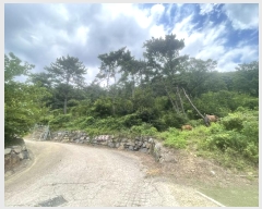  2024Ÿ4618 泲 ؽ 뵿 ȸ 121-1      (Ӿ)