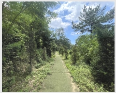  2024Ÿ4618 泲 ؽ 뵿 ȸ 121-1      (Ӿ)