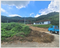  2024Ÿ5451 泲 â â   628     (1)