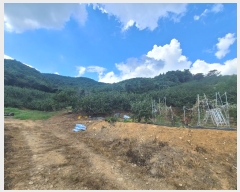  2024Ÿ5451 泲 â â   628     (1)