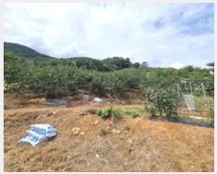  2024Ÿ5451 泲 â â   628     (1)