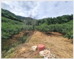  2024Ÿ5451 泲 â â   628     (1)