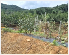  2024Ÿ5451 泲 â â   628     (1)