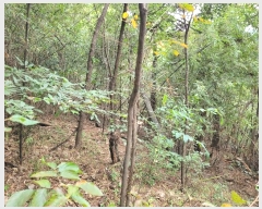  2024Ÿ5994 泲 â â ϸ ̸ 115-2     (Ӿ)