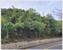  2024Ÿ5994 泲 â â ϸ ̸ 115-2     (Ӿ)