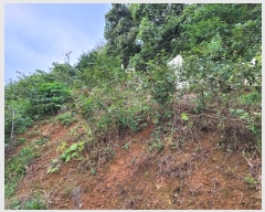  2024Ÿ5994 泲 â â ϸ ̸ 115-2     (Ӿ)