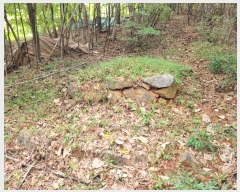  2024Ÿ5994 泲 â â ϸ ̸ 115-2     (Ӿ)