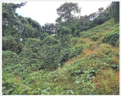  2024Ÿ5994 泲 â â ϸ ̸ 115-2     (Ӿ)