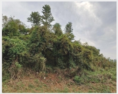  2024Ÿ��6355 �泲 â���� ��â�� ���� �뿬�� 45     ����(��1)���