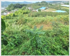  2024Ÿ��6355 �泲 â���� ��â�� ���� �뿬�� 45     ����(��1)���