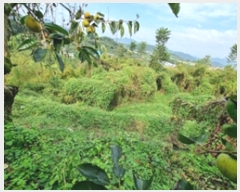  2024Ÿ��6355 �泲 â���� ��â�� ���� �뿬�� 45     ����(��1)���