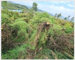  2024Ÿ��6355 �泲 â���� ��â�� ���� �뿬�� 45     ����(��1)���