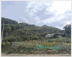  2024Ÿ7068 泲 ؽ Ѹ ݰ 35-4      (Ӿ)