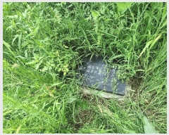  2024Ÿ7068 泲 ؽ Ѹ ݰ 35-4      (Ӿ)