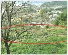  2024Ÿ7068 泲 ؽ Ѹ ݰ 35-4      (Ӿ)