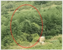  2024Ÿ7068 泲 ؽ Ѹ ݰ 35-4      (Ӿ)