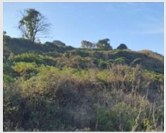  2024Ÿ7068 泲 ؽ Ѹ ݰ 35-4      (Ӿ)