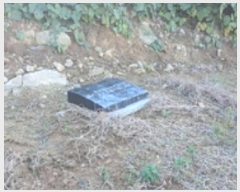  2024Ÿ7068 泲 ؽ Ѹ ݰ 35-4      (Ӿ)