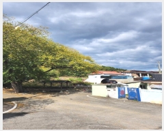  2024Ÿ7334 泲 ؽ 뵿 긮 738-1      (1)