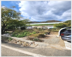  2024Ÿ7334 泲 ؽ 뵿 긮 738-1      (1)