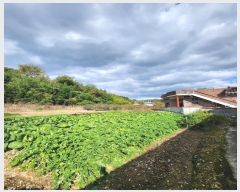  2024Ÿ7334 泲 ؽ 뵿 긮 738-1      (1)