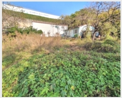  2024Ÿ7334 泲 ؽ 뵿 긮 738-1      (1)