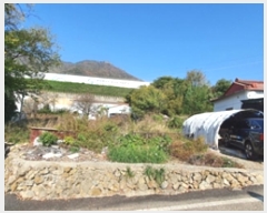  2024Ÿ7334 泲 ؽ 뵿 긮 738-1      (1)