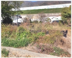  2024Ÿ7334 泲 ؽ 뵿 긮 738-1      (1)