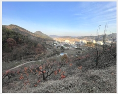  2024Ÿ��7495 �泲 â���� ��â�� �ϸ� ���̸� 707-1     ����(������)���