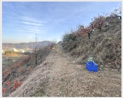  2024Ÿ��7495 �泲 â���� ��â�� �ϸ� ���̸� 707-1     ����(������)���