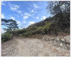  2024Ÿ7587 泲 ؽ û 800-26       (1)