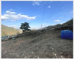  2024Ÿ7587 泲 ؽ û 800-26       (1)